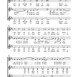 Wayfaring Stranger (a cappella)